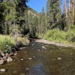 Lake Fork Campground