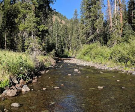Lake Fork Campground