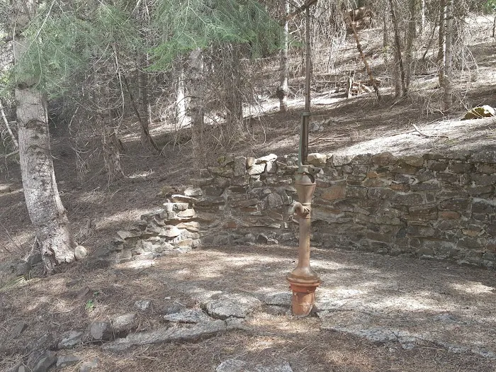 Lake Fork Campground Picture 8