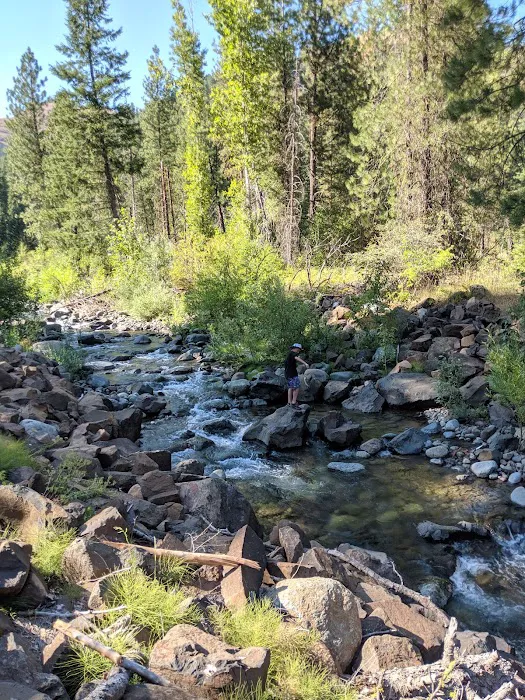 Lake Fork Campground Picture 10