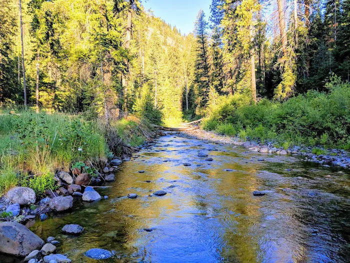 Lake Fork Campground Picture 6