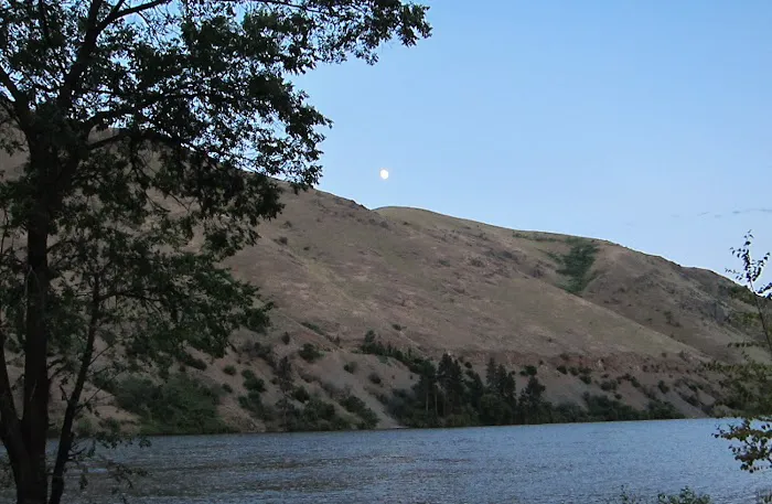 US Forest Service Picture 10