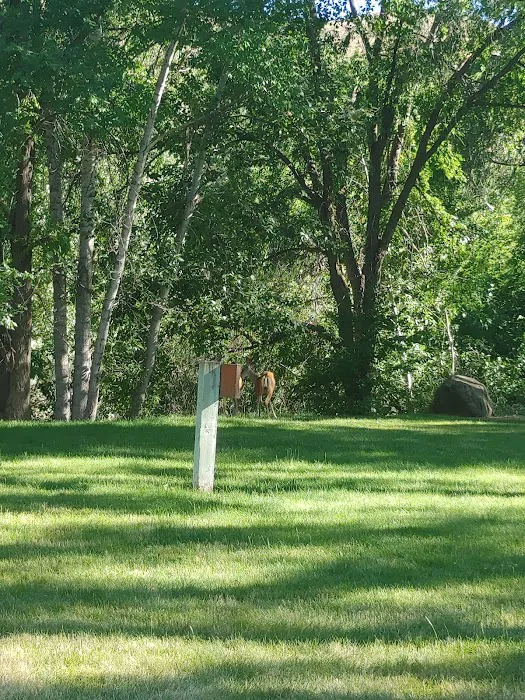 Copperfield Campground Picture 9