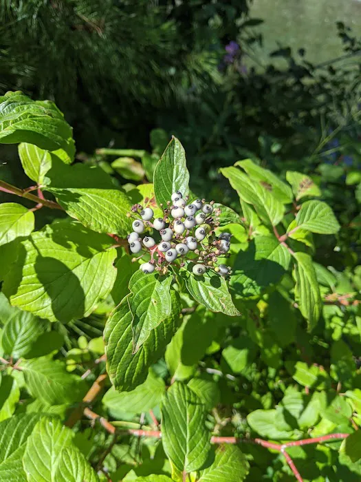 Indian Crossing Campground Picture 1