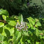 Indian Crossing Campground