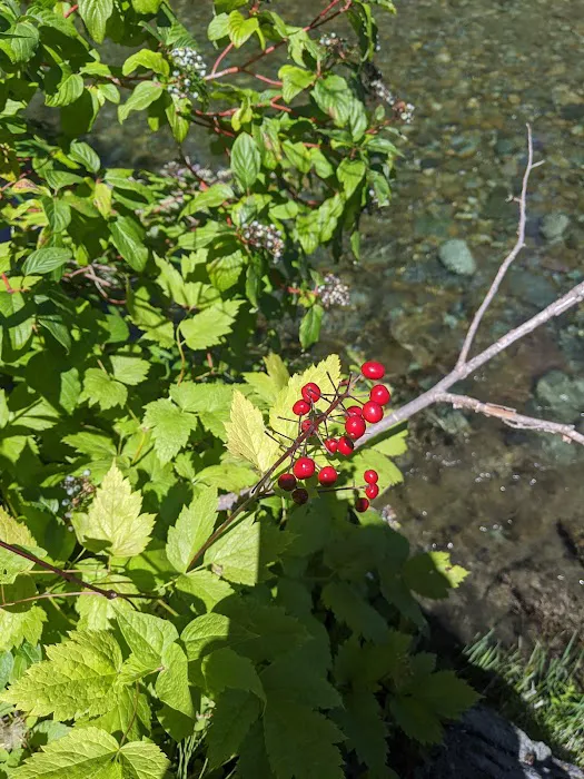 Indian Crossing Campground Picture 7