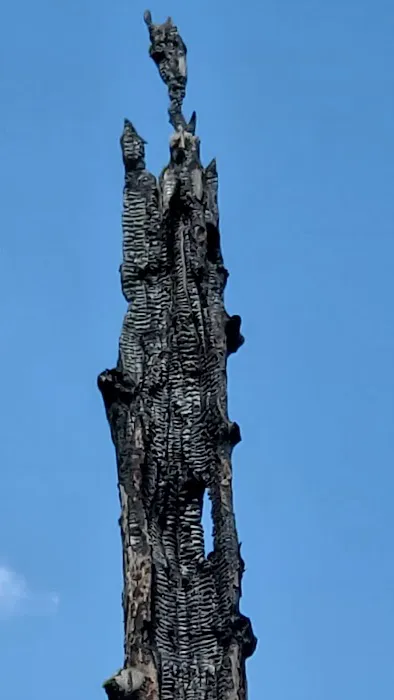 Indian Crossing Campground Picture 2