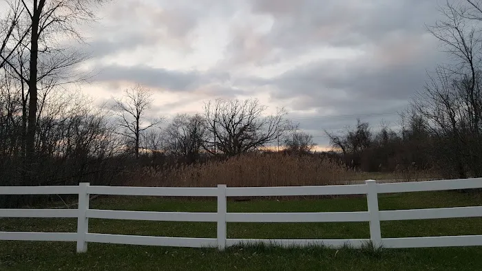 Meadowlands Picture 8
