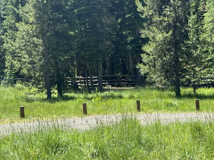 Lick Creek Campground Picture 4