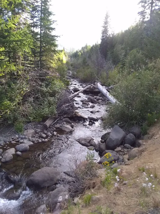 Lick Creek Campground Picture 9