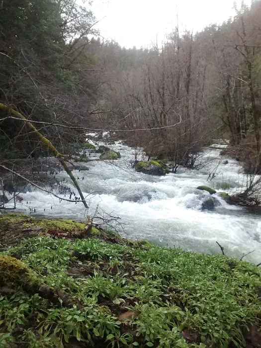 Boise Creek Campground Picture 9