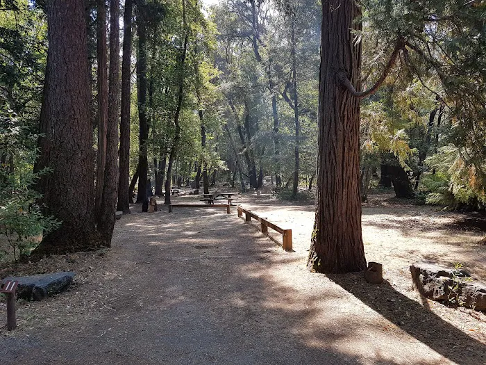 Boise Creek Campground Picture 6