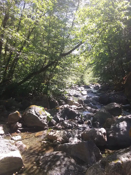 Boise Creek Campground Picture 10