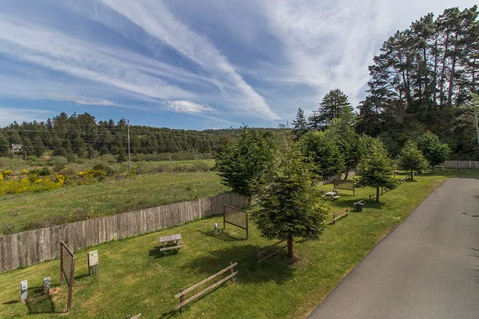 Redwood Coast Cabins and RV Resort Picture 9