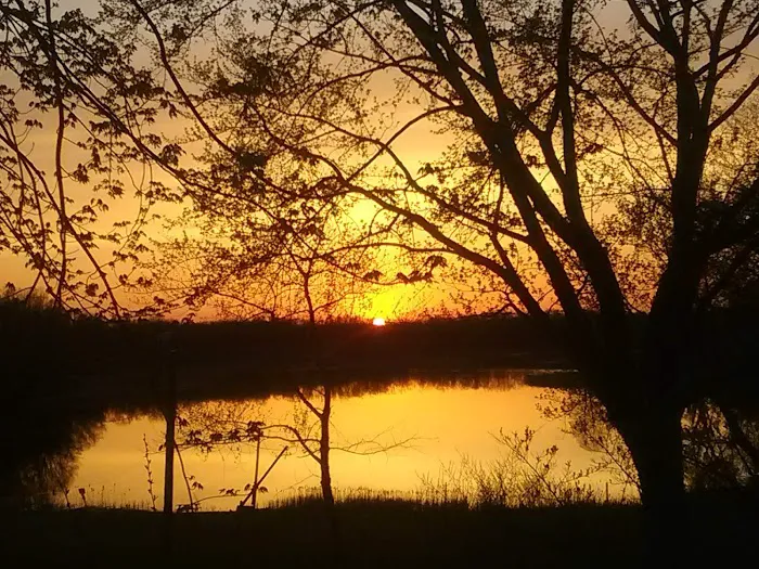 Moon Lake Estates Picture 9