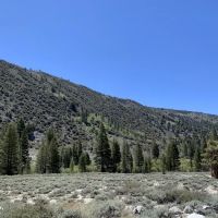 East Fork Campground ico
