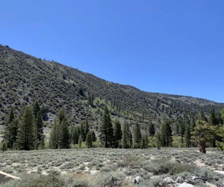 East Fork Campground