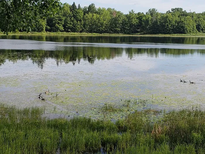 Colby Lake Home Sales/Quiet Cove Park Picture 10