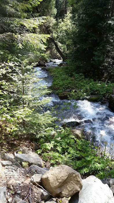 Trail Creek Campground Picture 3