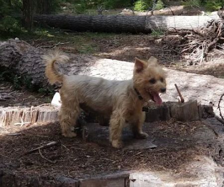 Trail Creek Campground