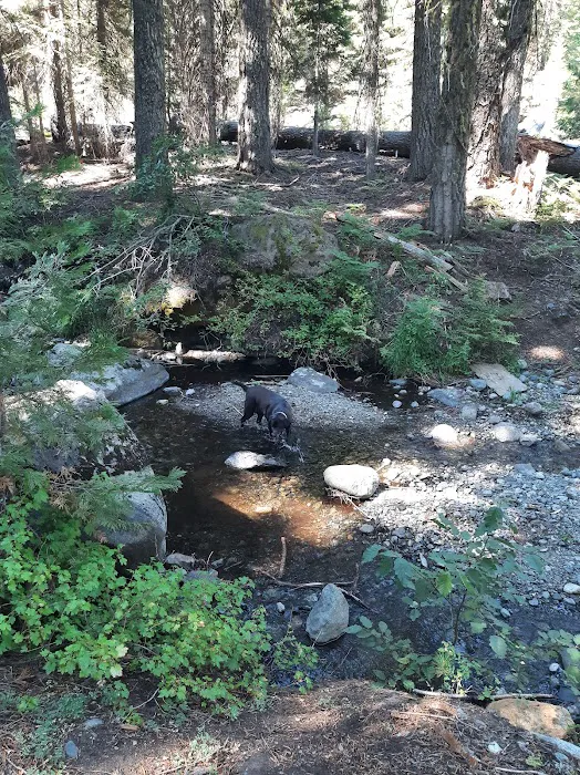 Hidden Horse Campground Picture 3