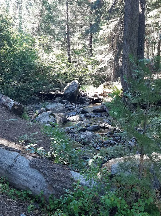 Hidden Horse Campground Picture 6