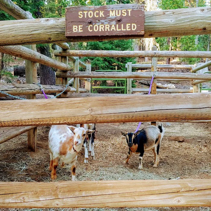 Hidden Horse Campground Picture 8