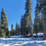 Hidden Horse Campground