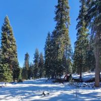 Hidden Horse Campground ico