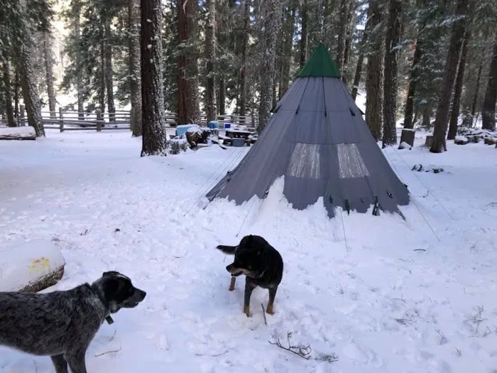 Big Flat Campground Picture 4