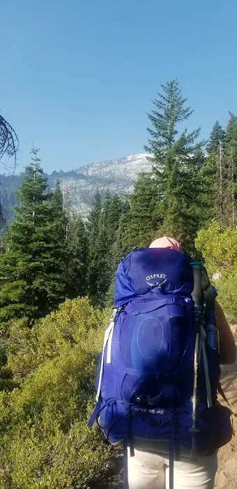 Big Flat Campground Picture 3