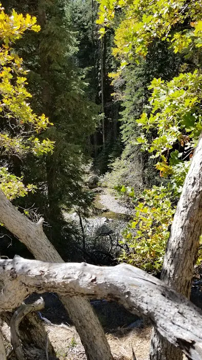 Big Flat Campground Picture 9
