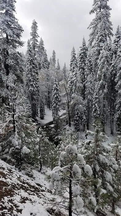 Big Flat Campground Picture 7
