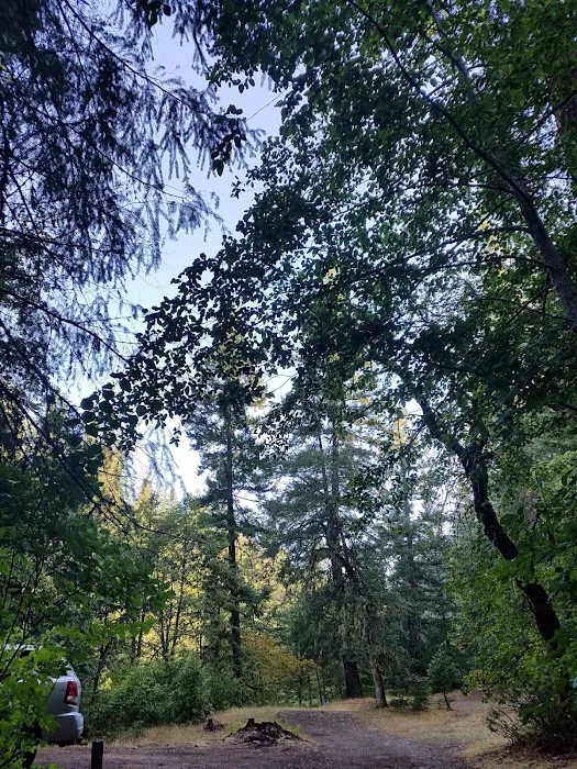 Hobo Gulch Campground Picture 6