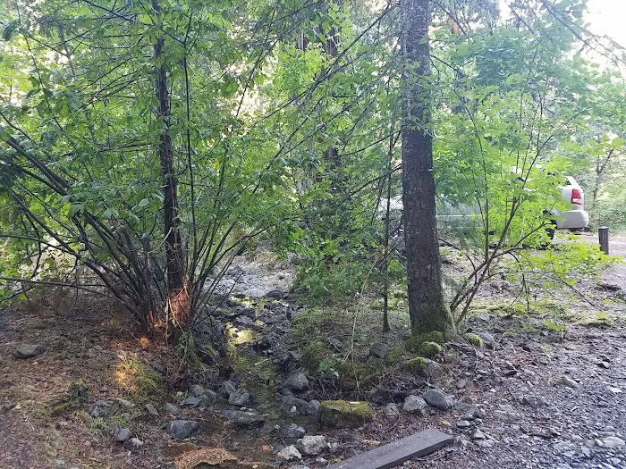 Hobo Gulch Campground Picture 8