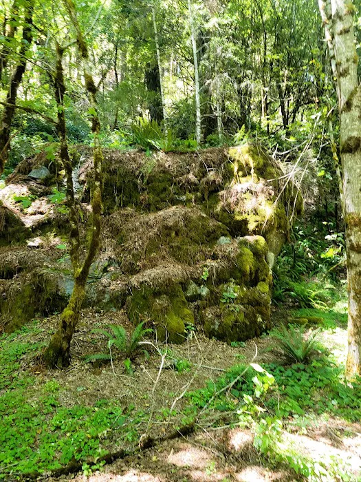 East Fork Campground Picture 2