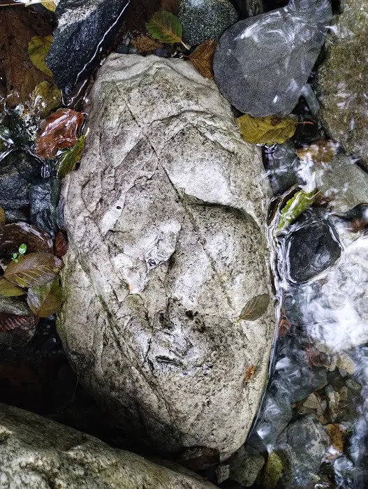 East Fork Campground Picture 6