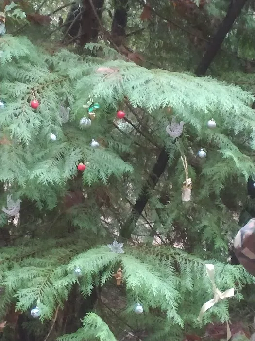 East Fork Campground Picture 3