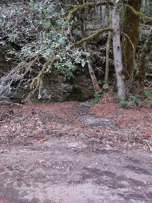 East Fork Campground Picture 7