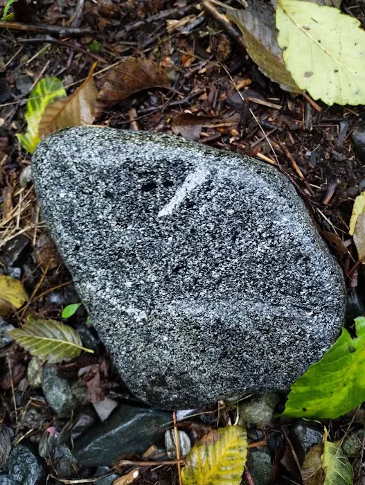 East Fork Campground Picture 9