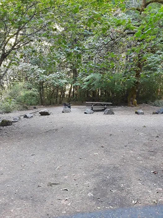 East Fork Campground Picture 8