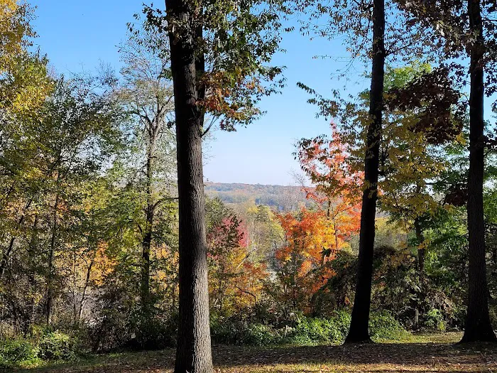 Sherwood Forest MHC (Active Living, 55+) Picture 10