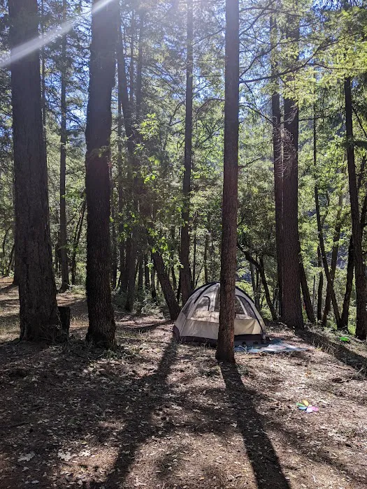 Denny Campground Picture 3