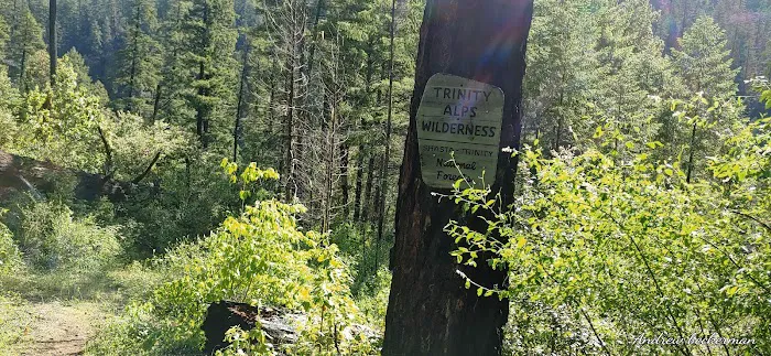 Denny Campground Picture 4