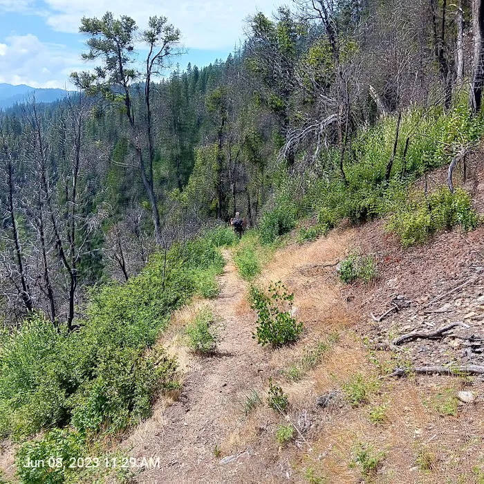 Denny Campground Picture 8