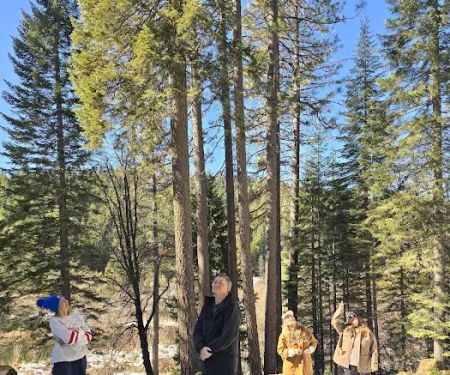 Gray Wolf Lodge - ABnB