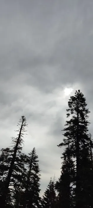 Red Fir Flat Group Campground Picture 5