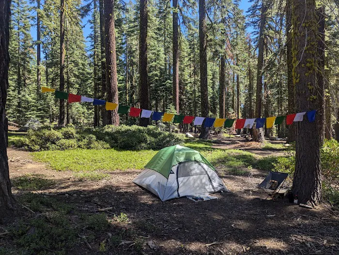 Red Fir Flat Group Campground Picture 2