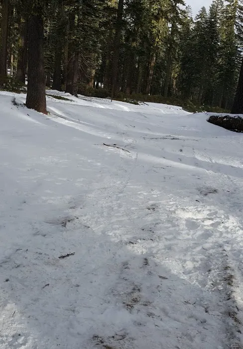 Red Fir Flat Group Campground Picture 9