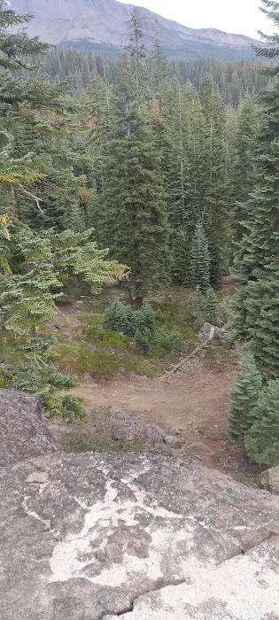 Red Fir Flat Group Campground Picture 3